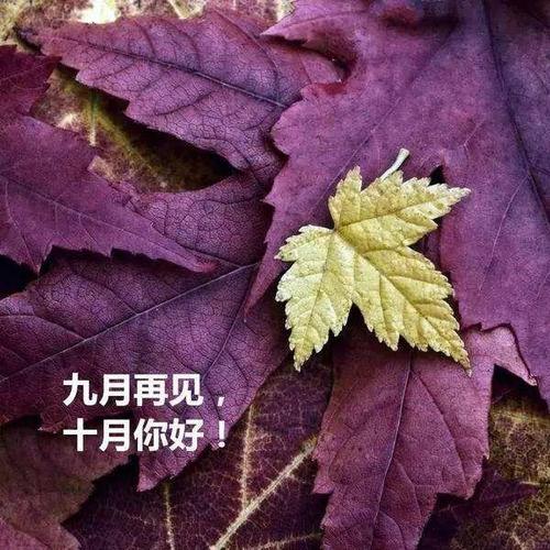 有关九月的句子经典唯美的短句（迎接金秋，留存美好）