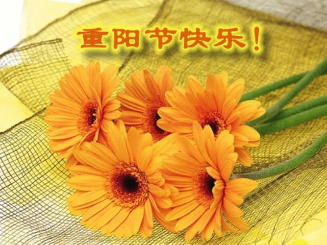 九九重阳节的祝福语怎么写（九九重阳，祝福长长久久）