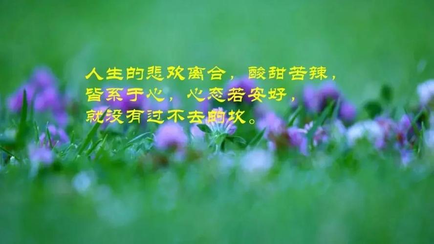 经典人生哲理感悟短文（用美丽的语言，讲述生命的真谛）