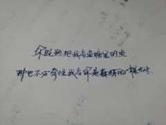 经典唯美语录短句（细腻唯美，三毛情怀）