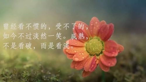 朋友圈经典说说,朋友圈经典语录（流年如梦）