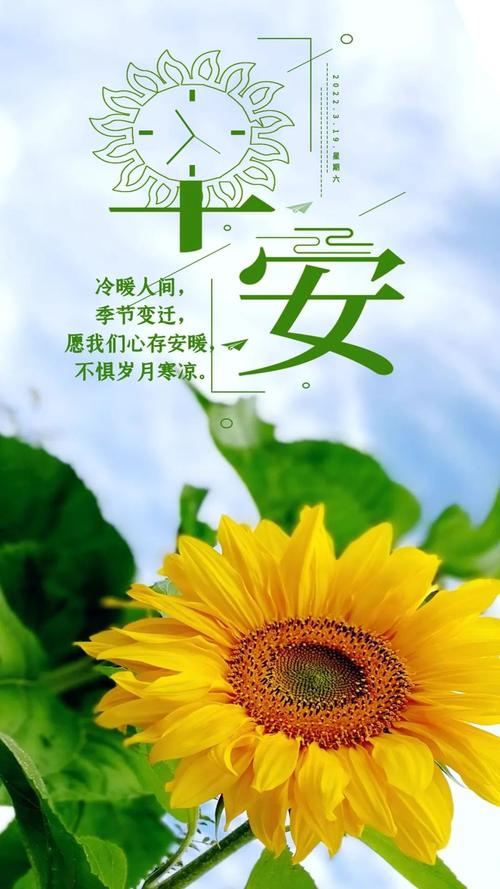 有关今日收获正能量的句子的句子摘抄（以今日收获正能量为契机）