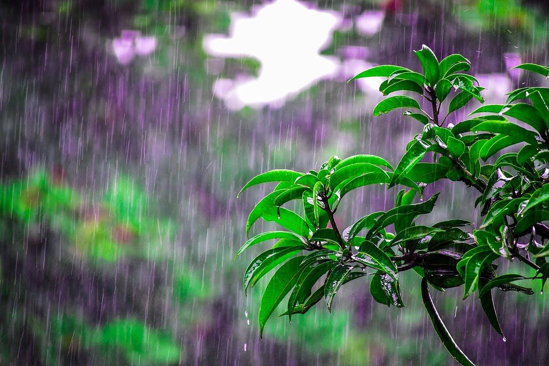 春雨古诗词200句赏析（下雨天意境绝美的诗词）