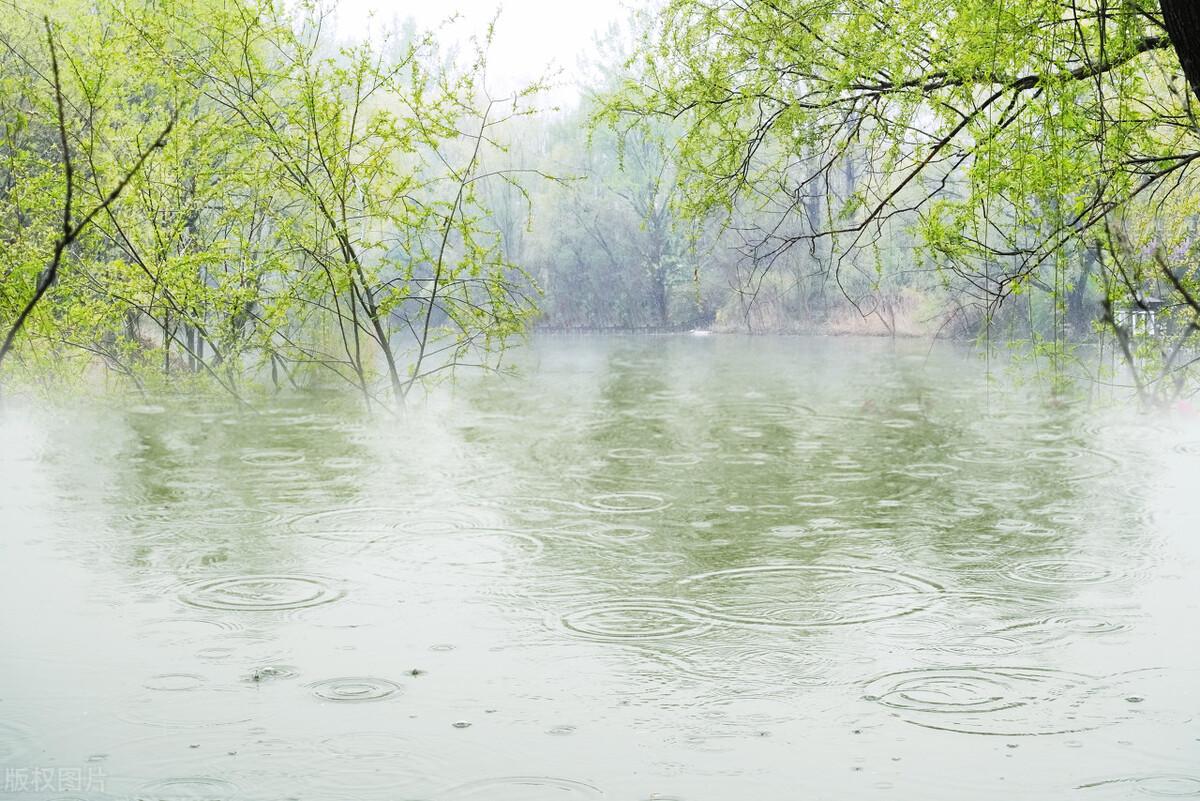 春雨古诗词200句赏析（下雨天意境绝美的诗词）