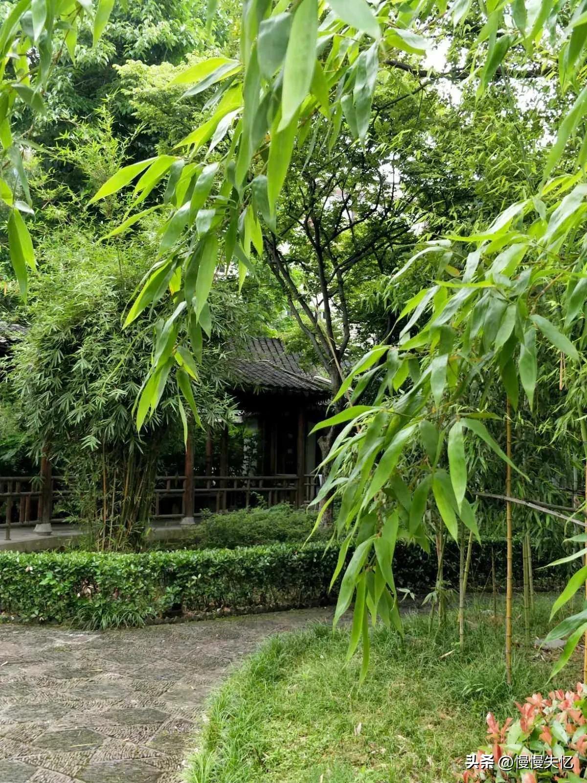 赞美夏花的优美诗词赏析（20首初夏诗词）