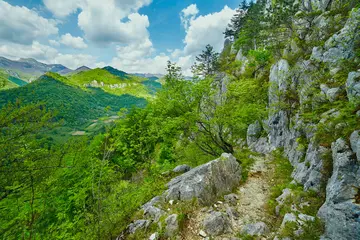 描写春天的桃花作文（《春天的美景》）