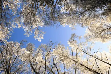 特别温暖的冬天作文（《家乡的冬天》）