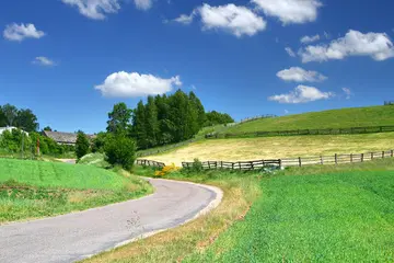 丰富多彩的夏天优秀作文（《夏天的景色》）