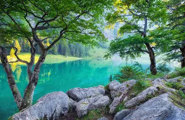 回忆夏天的作文（《夏天的风景》）