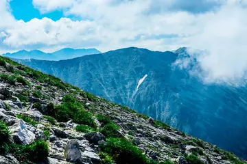 关于夏天的景色作文（《夏天的风景》）