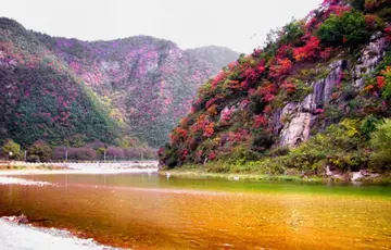 那些快乐的夏天作文（《夏天的风景》）