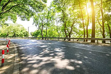 那些美丽的夏天作文（《夏天的景色》）