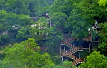 那些迷人的夏天作文（《夏天的景色》）