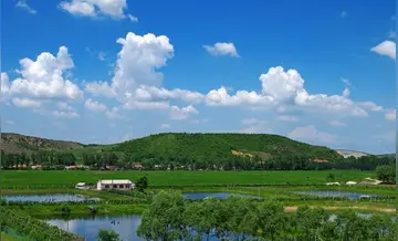 让人难忘的夏天作文（《夏天的景色》）