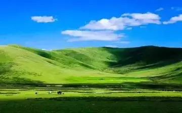 让人难忘的夏天作文（《夏天的风景》）