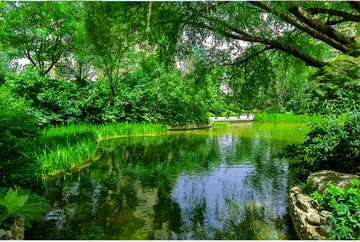 感受春节的作文（《春节的风景》）