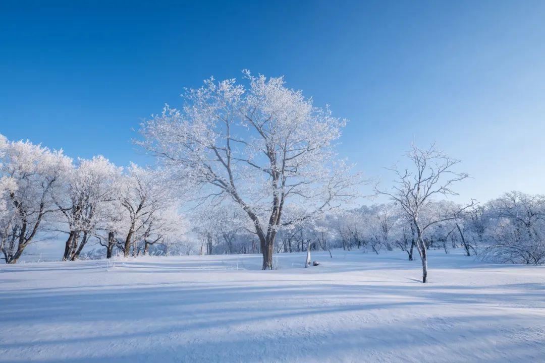 关于咏雪诗词鉴赏（分享10首咏雪诗词）