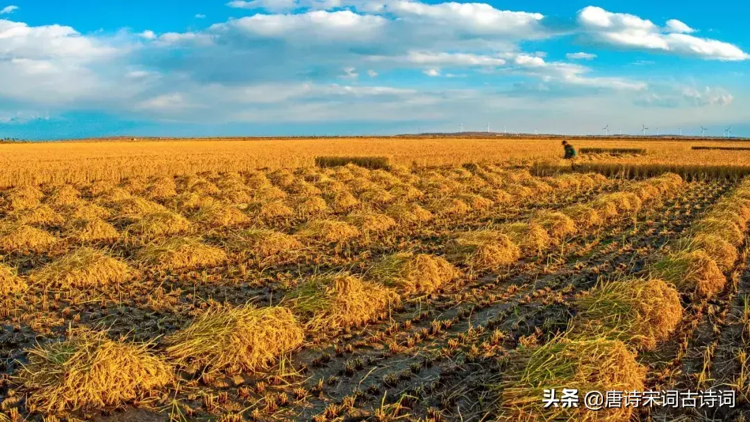 芒种诗词古诗大全赏析（精选30首芒种诗词）