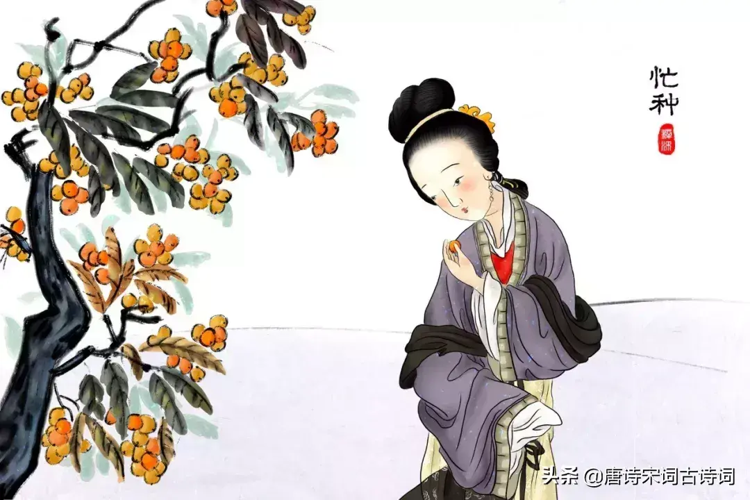 芒种诗词古诗大全赏析（精选30首芒种诗词）