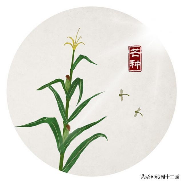 关于节气芒种的25首古诗词（芒种简短古诗词）