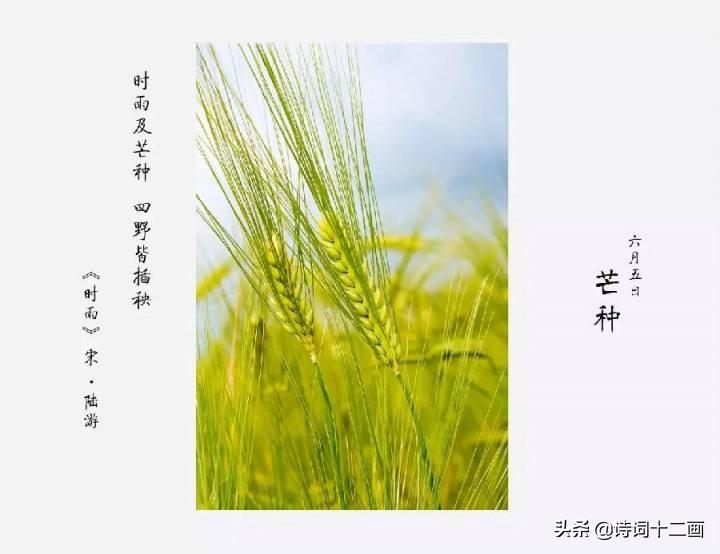 关于节气芒种的25首古诗词（芒种简短古诗词）