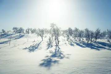 那些冬天的校园作文（《校园的景色》）