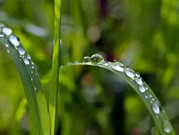 雨的诉说作文650字优秀（美好的未来）