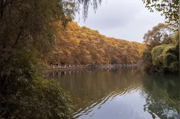 那些喜爱秋天的作文（《精彩的秋天》）