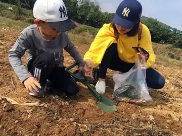 劳动创造快乐的生活作文（感叹生命）