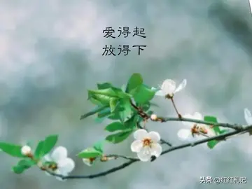 说真话作文650字优秀（人生的真谛）