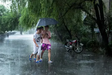 关于雨中情作文650字优秀（最美的风景）