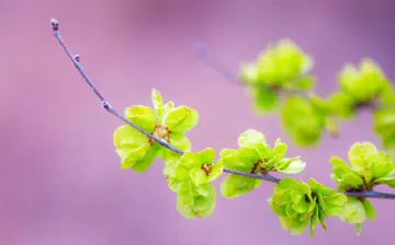 春的气息650字作文范文（充满生机）