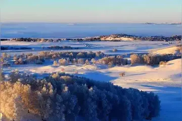 那些冬天的雪花作文（《冬天的故事》）