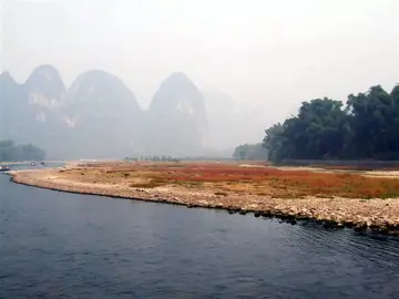 那些家乡的草莓作文（《家乡的味道》）