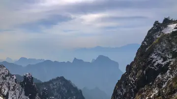 那些家乡的端午节作文（《家乡的味道》）