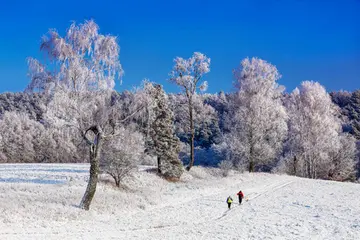 那些家乡的风景作文（《美好的家乡》）