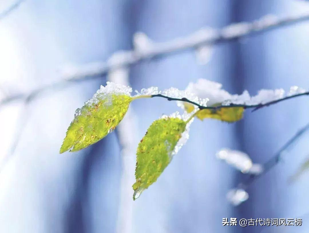 关于小雪节气古诗词大全（十首著名的雪景古诗）