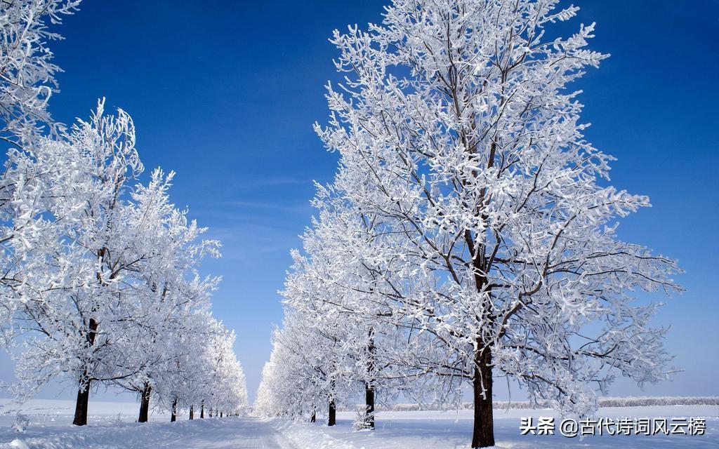 关于小雪节气古诗词大全（十首著名的雪景古诗）