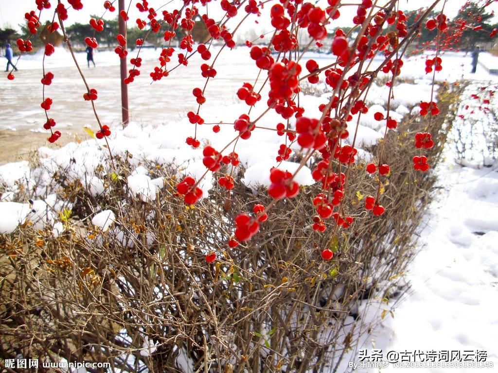 形容雪景的优美古诗词（42篇古人写雪古诗词）