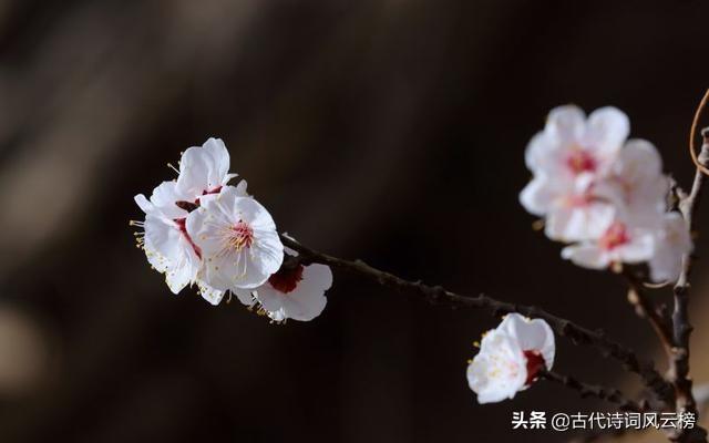 立冬古诗词大全（二十四节气古诗大全）