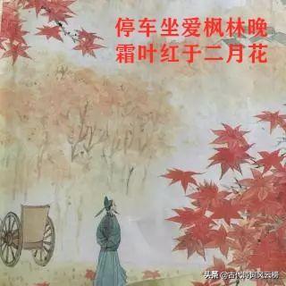 有关霜降诗词赏析（描写霜的诗句古诗）