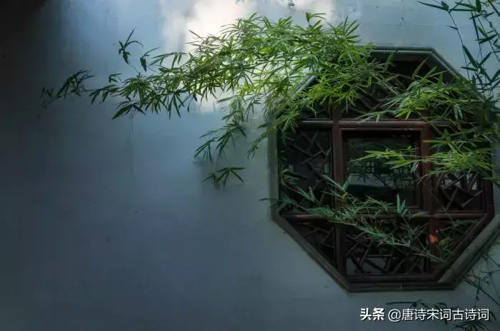 冷门又惊艳的诗词（20首绝美诗词）