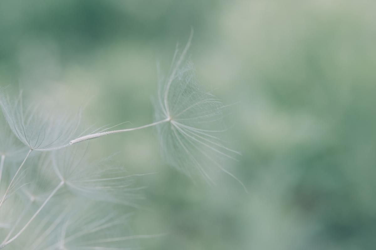 晋朝的诗词大全（9首魏晋必背诗词名句）