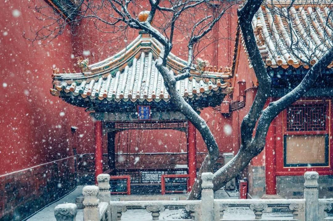 雪景诗词名句（描写下雪的诗句大全）