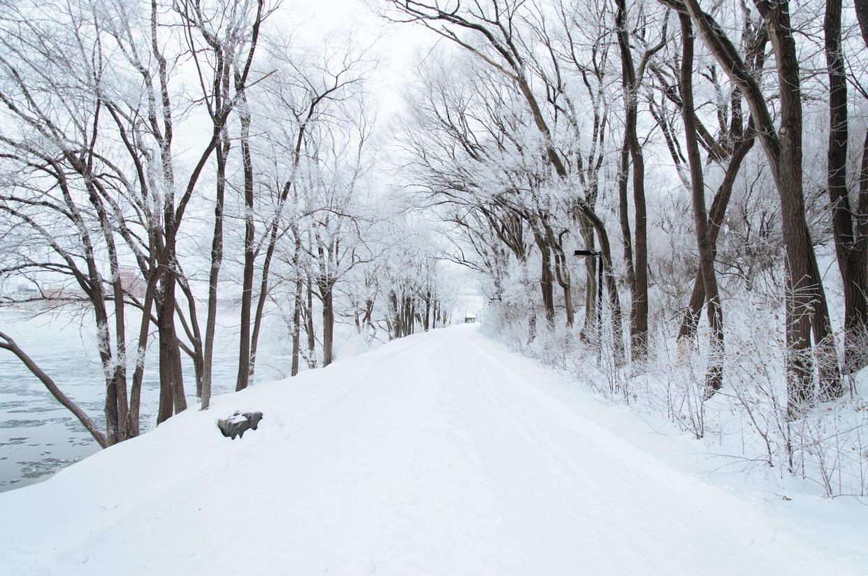 雪景诗词名句（描写下雪的诗句大全）