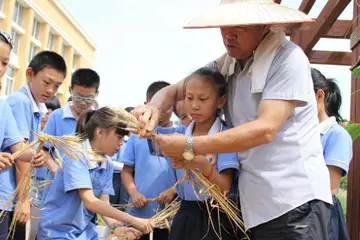 劳动的伟大和快乐作文优秀（劳动人民的节日）