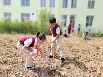 劳动的伟大和快乐作文优秀（劳动人民的节日）