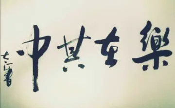 乐在其中650字精选作文（体会乐趣）