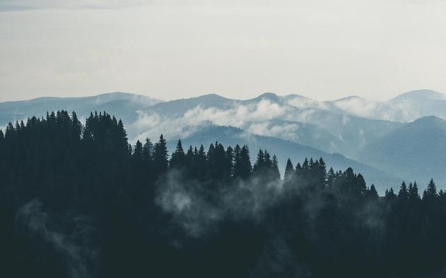 王维豪迈的十首诗词（最有气魄的帝王诗句）