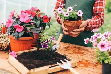 种花让生活更美好650字作文（属于我的季节）